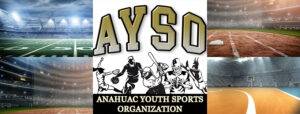 AYSO 6U Regional Champs