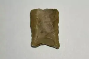 Rare Archeological Find at High Island