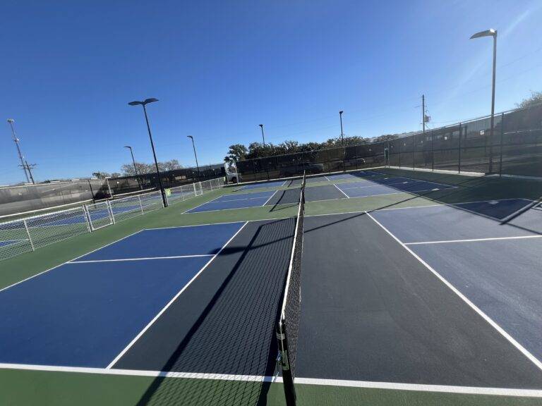Pickleball Mania Comes to Winnie!
