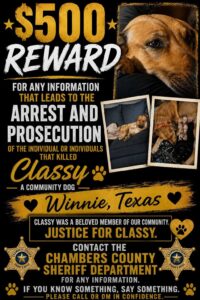 Who Killed Classy?