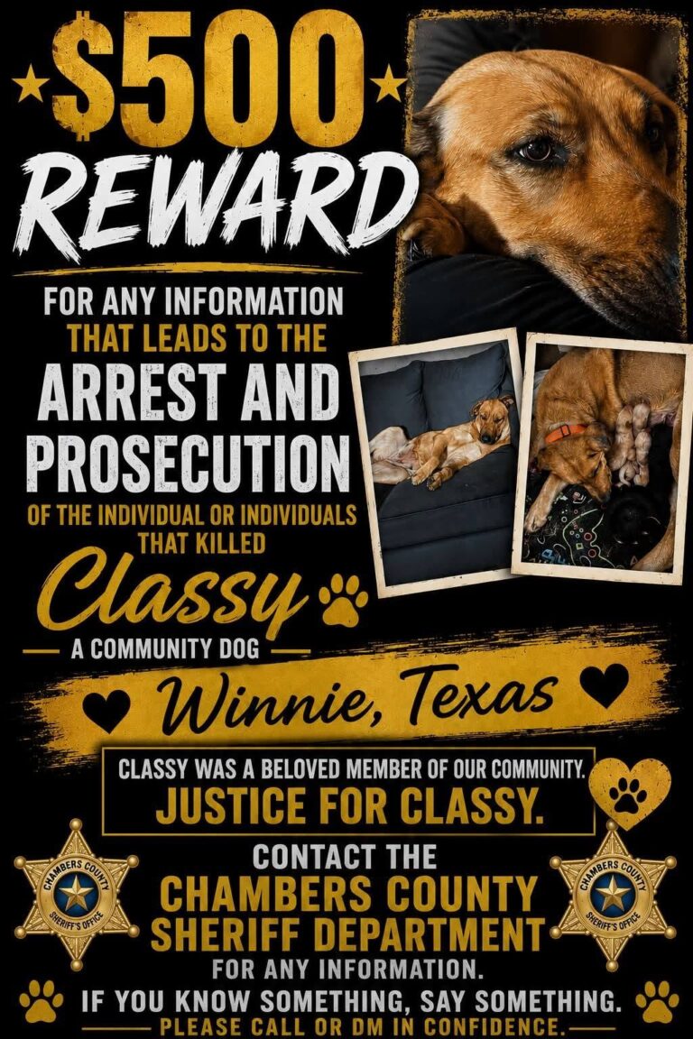 Who Killed Classy?